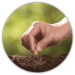 Sowing seeds outside | Step one of the therapy process is to understand the client's story